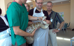Reptilien Seminar - Timmendorf